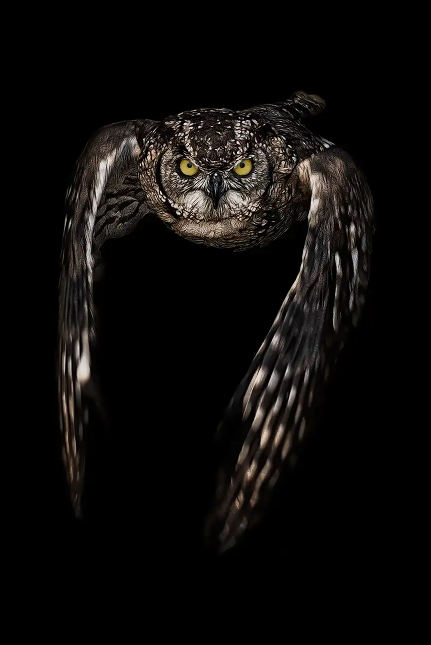 Fine-art portrait of Eurasian eagle-owl