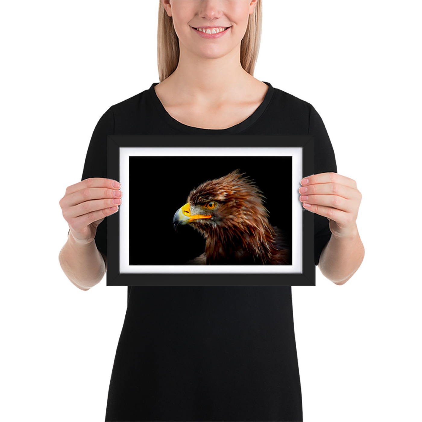 Ritratto fine art di aquila delle steppe (Aquila nipalensis) su sfondo nero