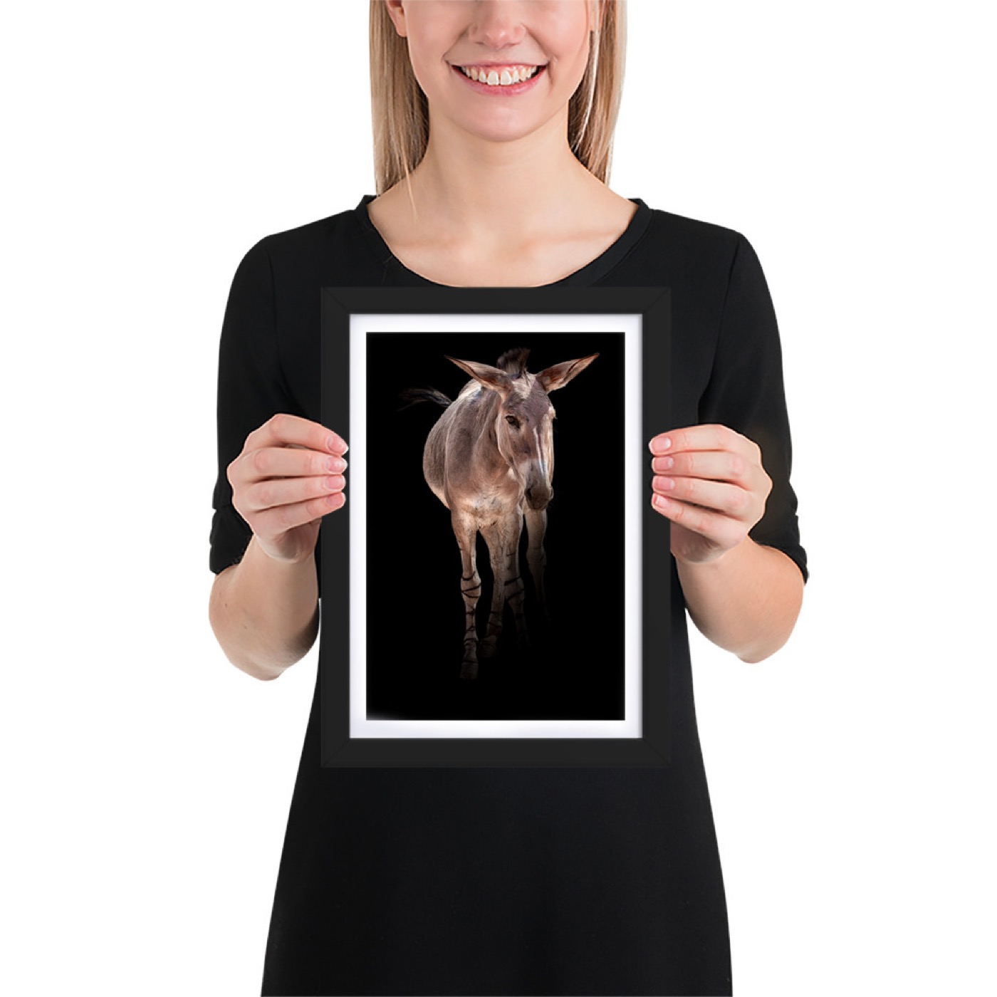 Fine-art portrait of somali wild ass (Equus africanus somaliensis) on a black background