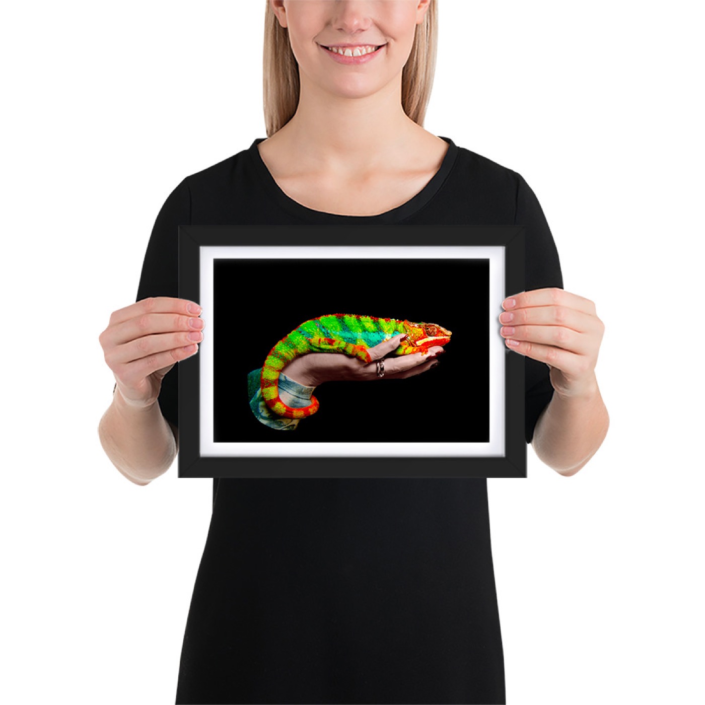 Fine-art portrait of panther chameleon (Furcifer pardalis) on a black background