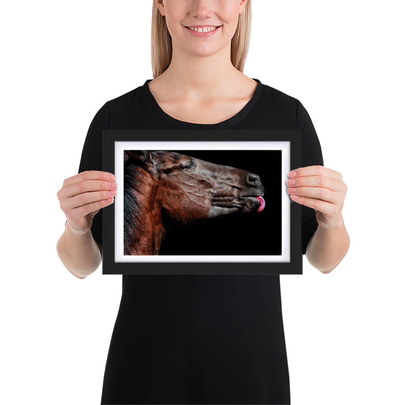 Ritratto fine art di cavallo (Equus ferus caballus) su sfondo nero
