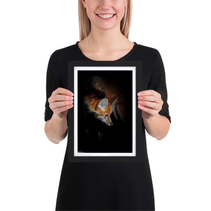 Fine-art portrait of a maned wolf on a black background