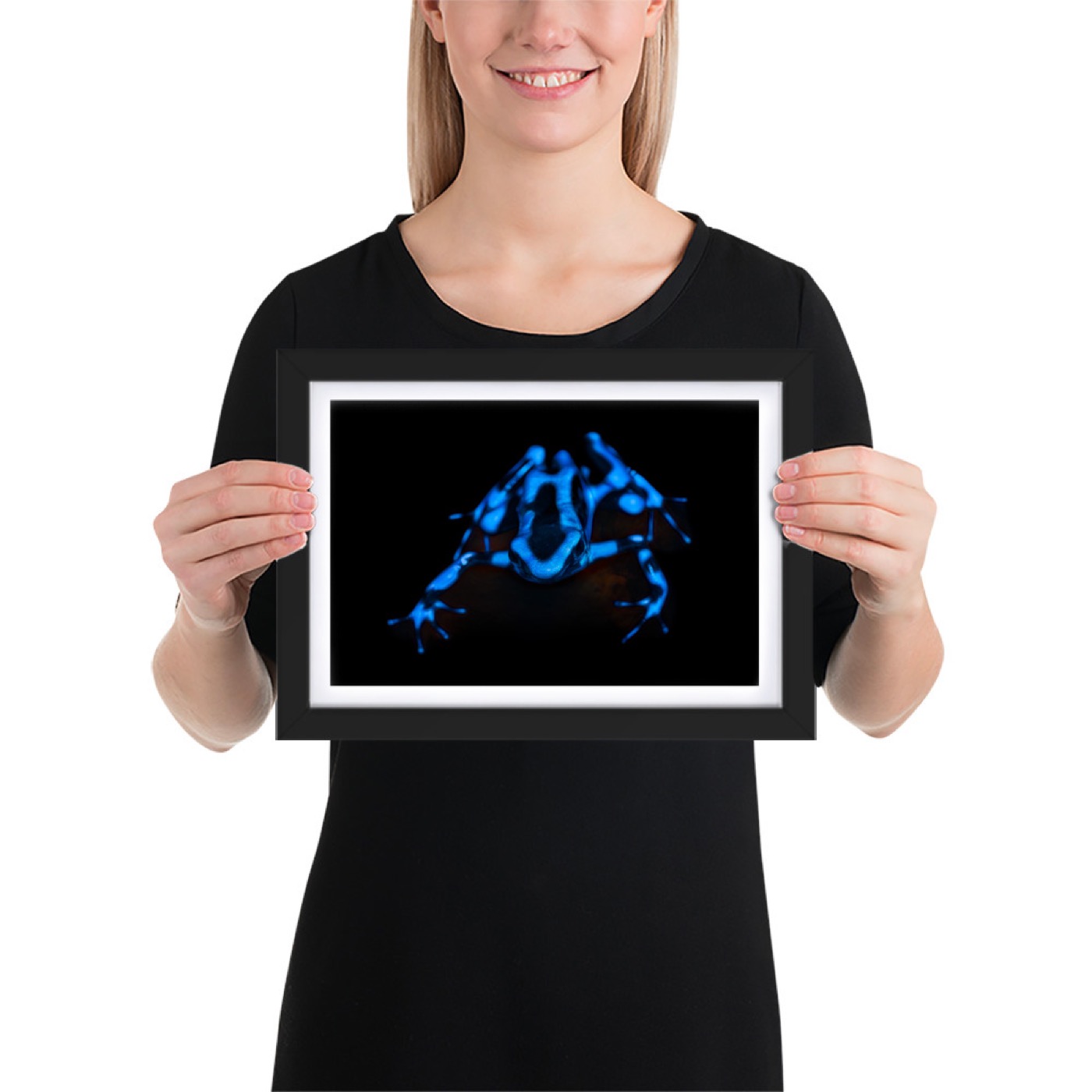 Ritratto fine art di dendrobate blu (Dendrobates tinctorius azureus) su sfondo nero