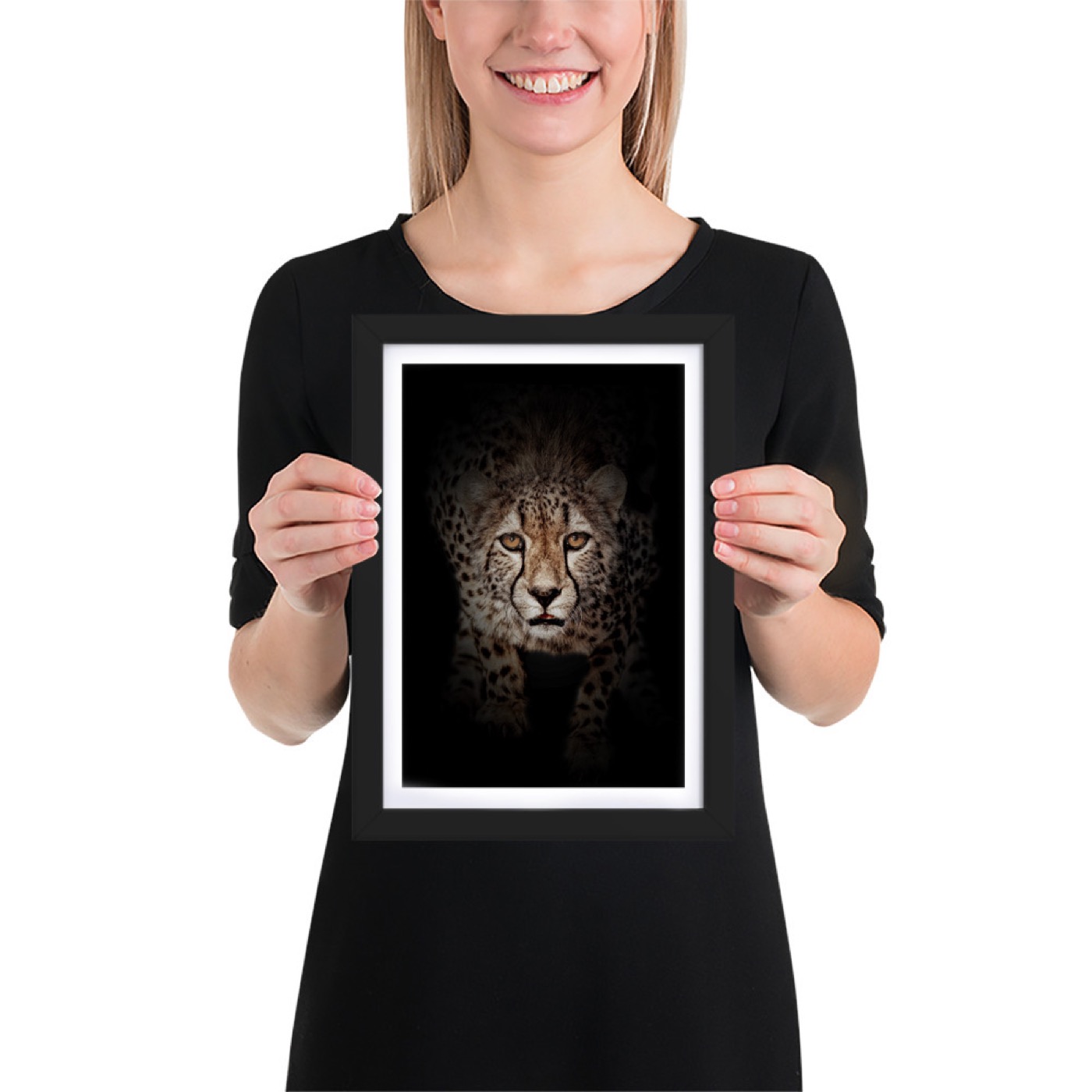 Ritratto fine art di ghepardo (Acinonyx jubatus) su sfondo nero