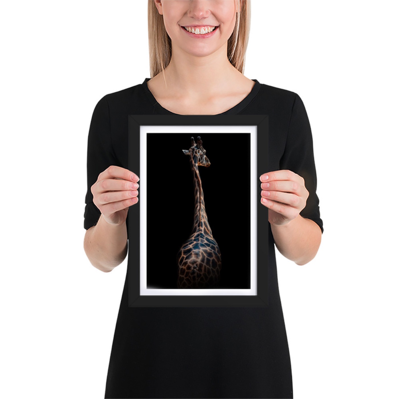 Ritratto fine art di giraffa (Giraffa camelopardalis) su sfondo nero