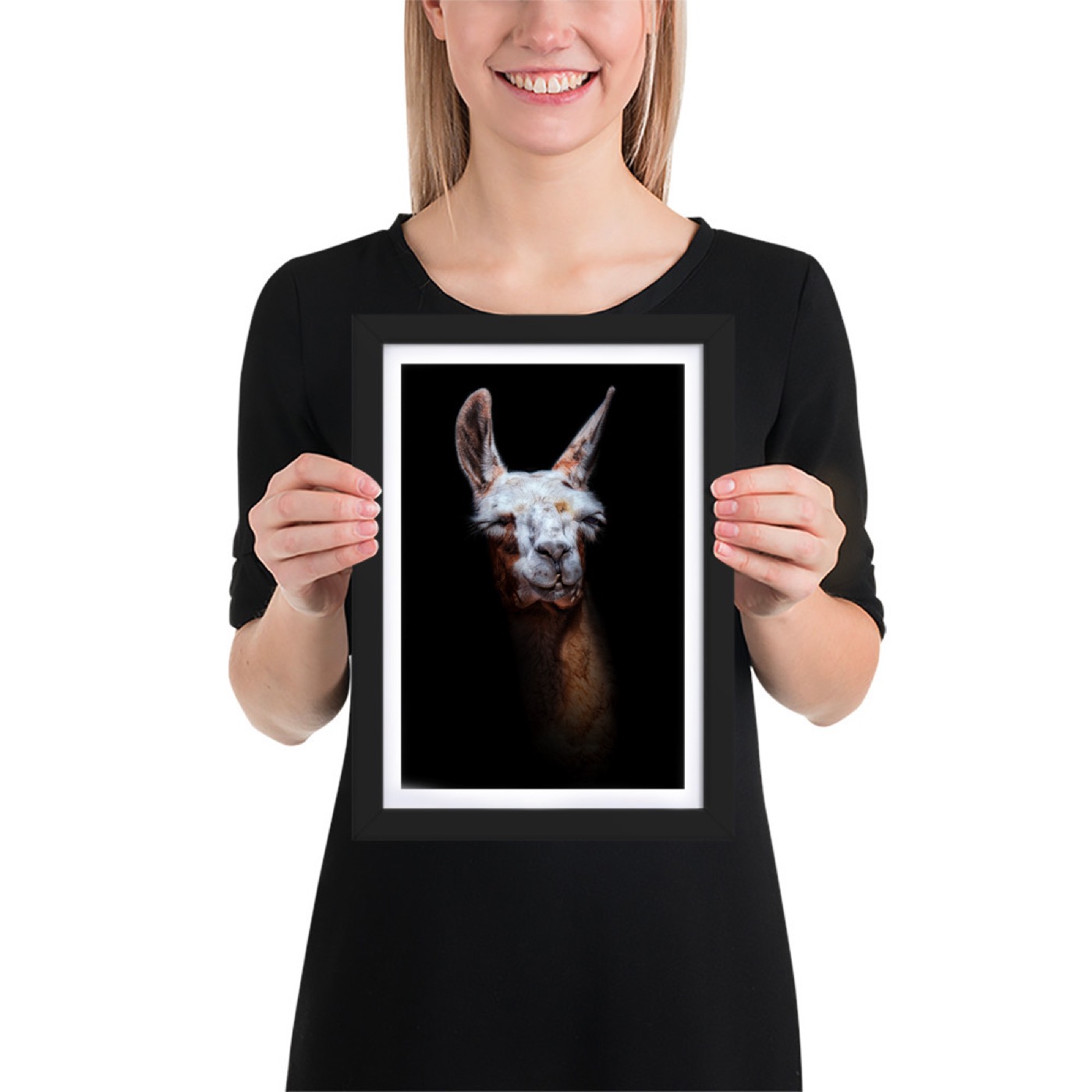 Fine-art portrait of guanaco (Lama guanicoe) on a black background
