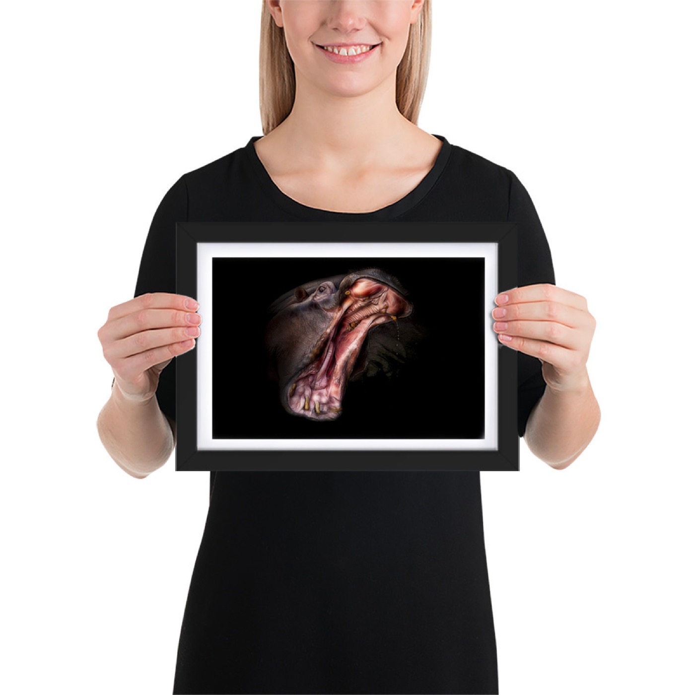 Fine-art portrait of hippopotamus (Hippopotamus amphibius) on a black background