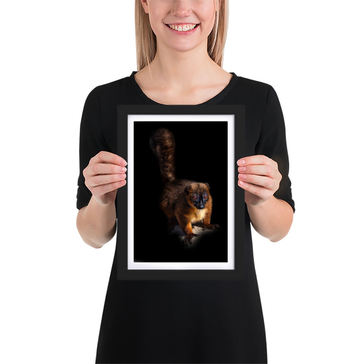 Fine-art portrait of red-bellied lemur (Eulemur rubriventer) on a black background