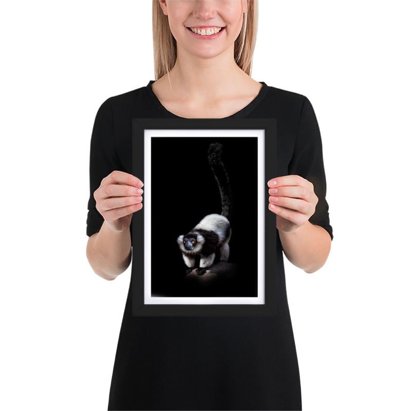 Fine-art portrait of black-and-white ruffed lemur (Varecia variegata) on a black background