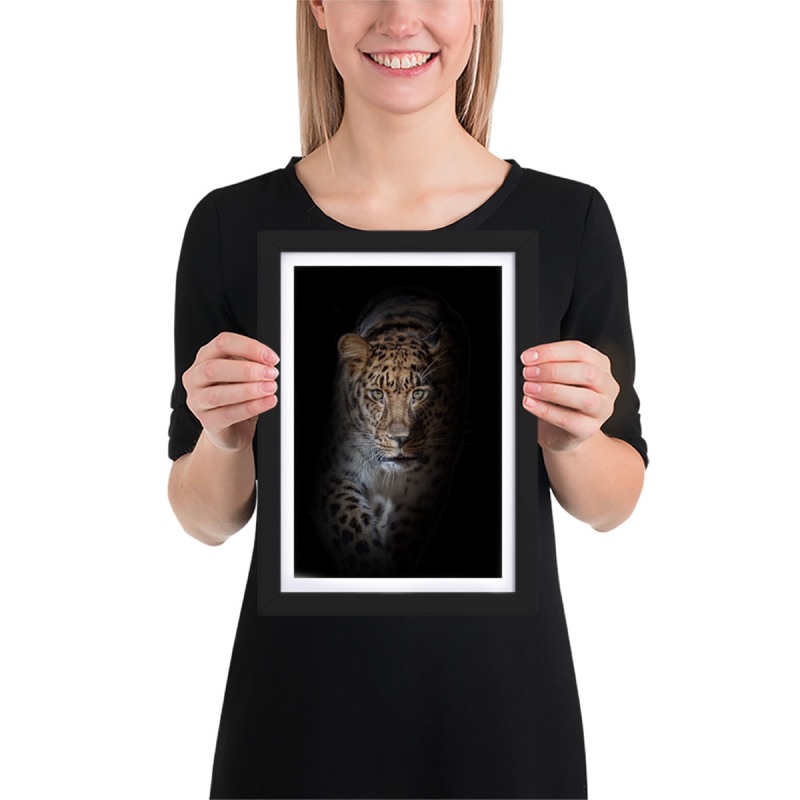 Fine-art portrait of amur leopard (Panthera pardus orientalis) on a black background