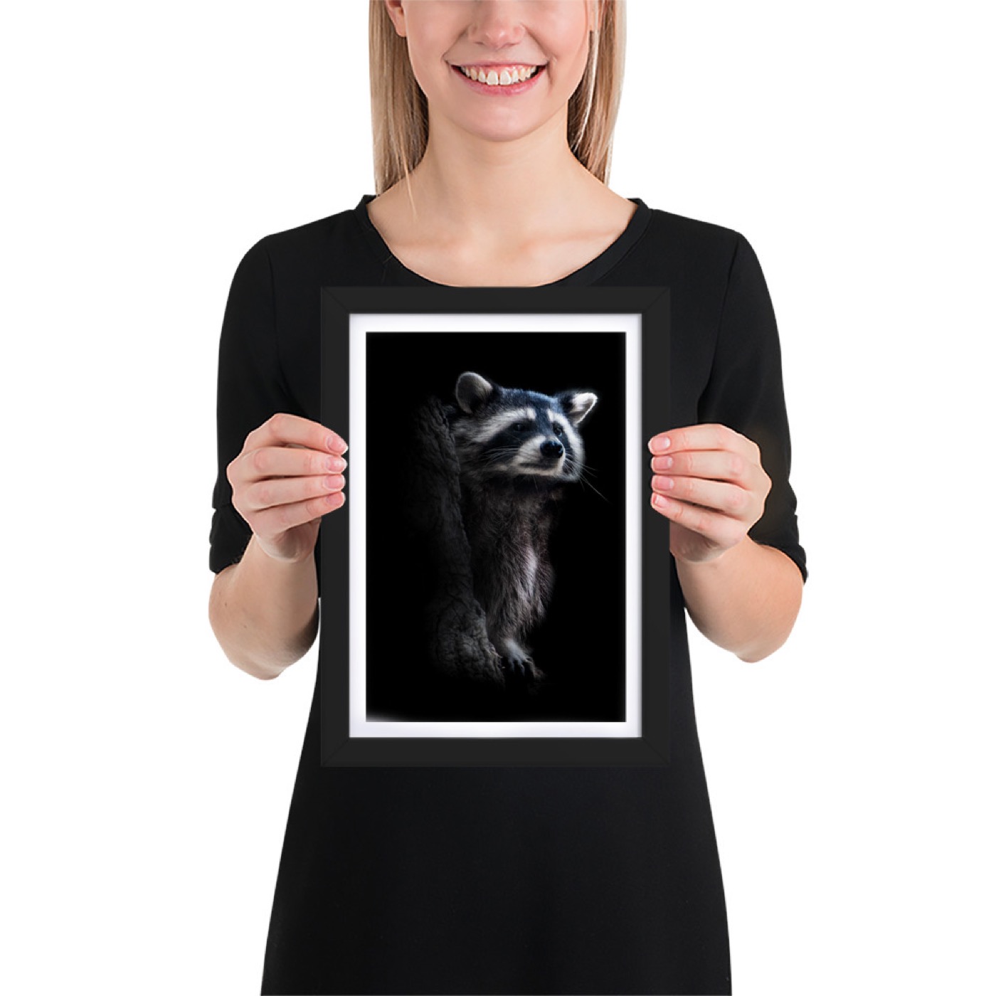 Fine-art portrait of raccoon (Procyon lotor) on a black background