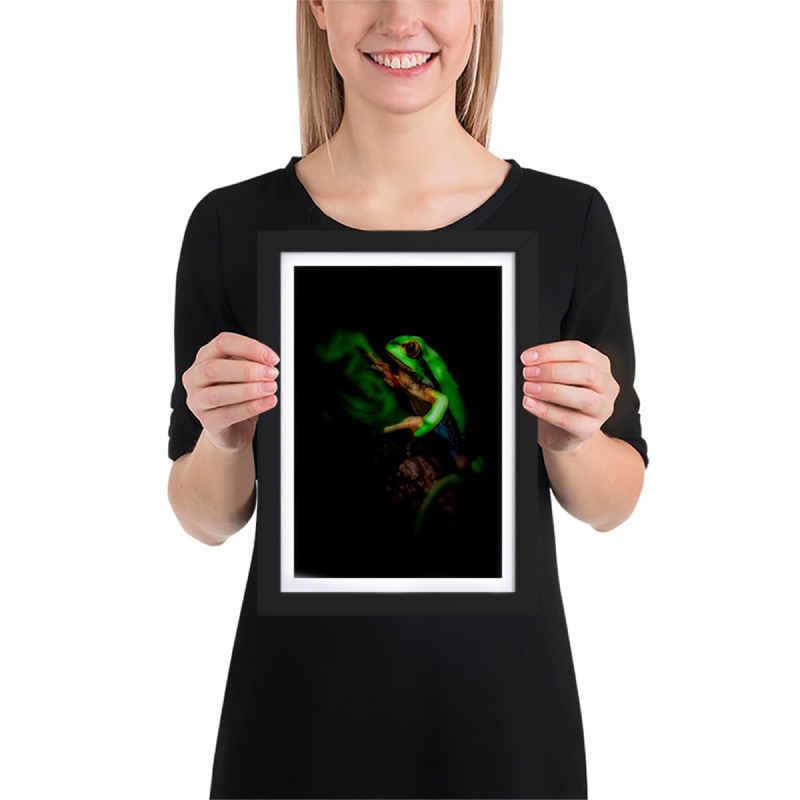 Fine-art portrait of european tree frog (Hyla arborea) on a black background