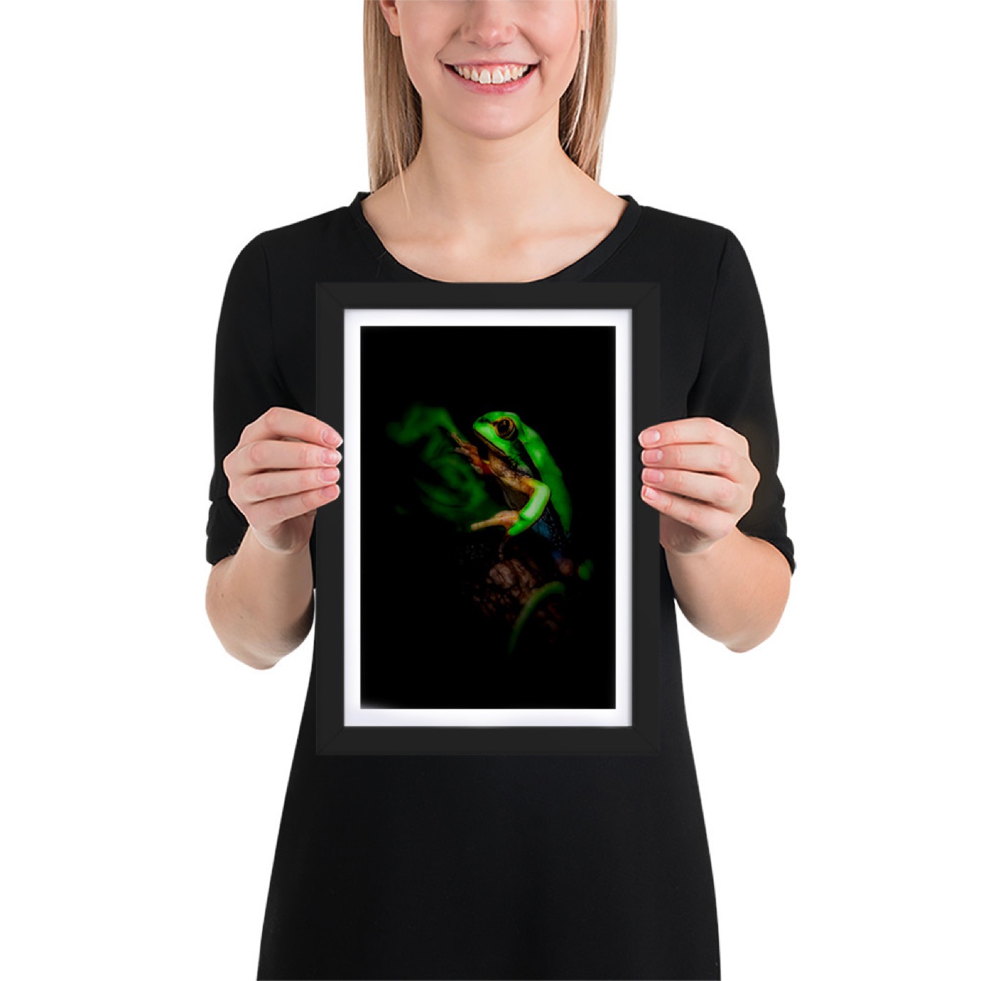 Ritratto fine art di raganella (Hyla arborea) su sfondo nero