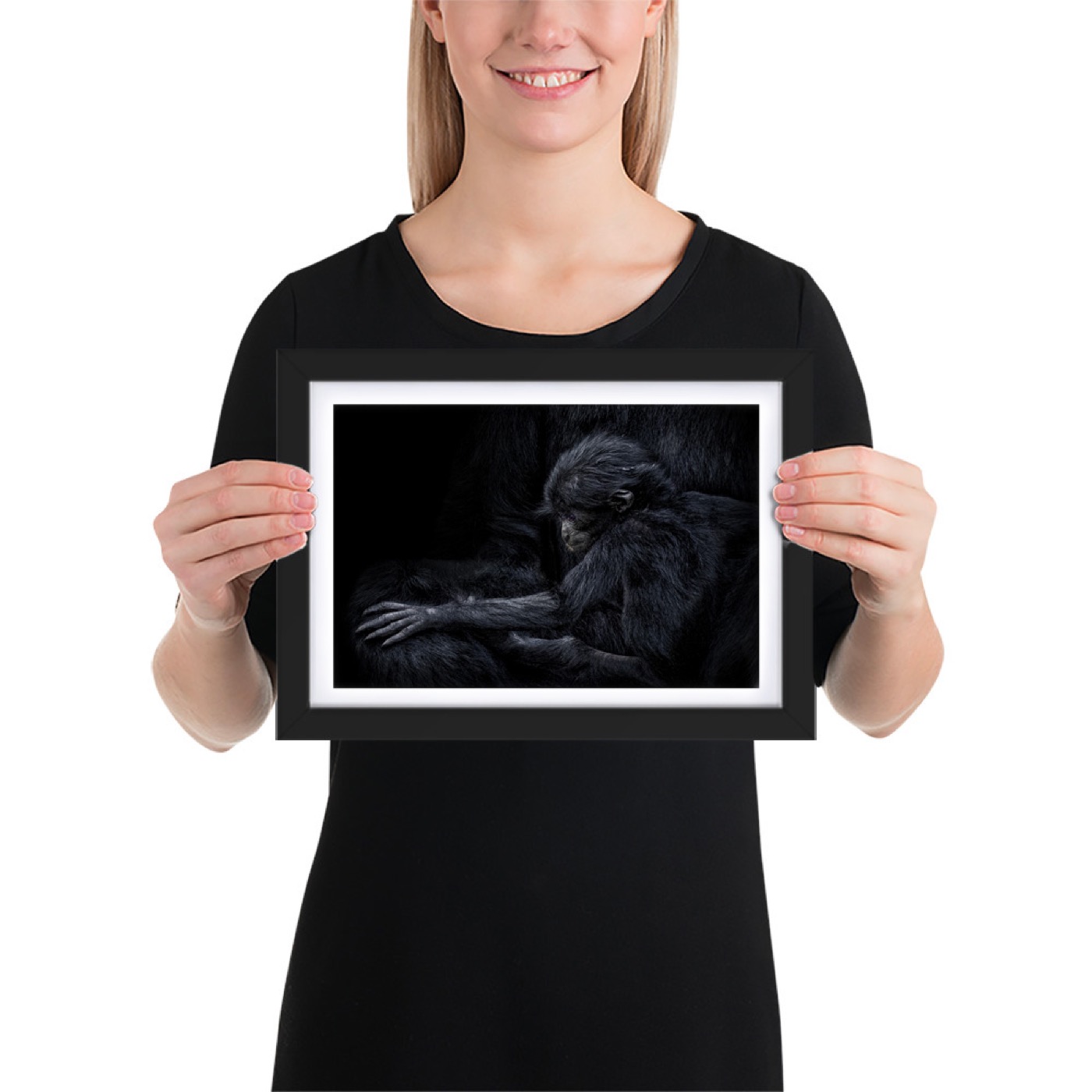 Fine-art portrait of siamang (Symphalangus syndactylus) on a black background