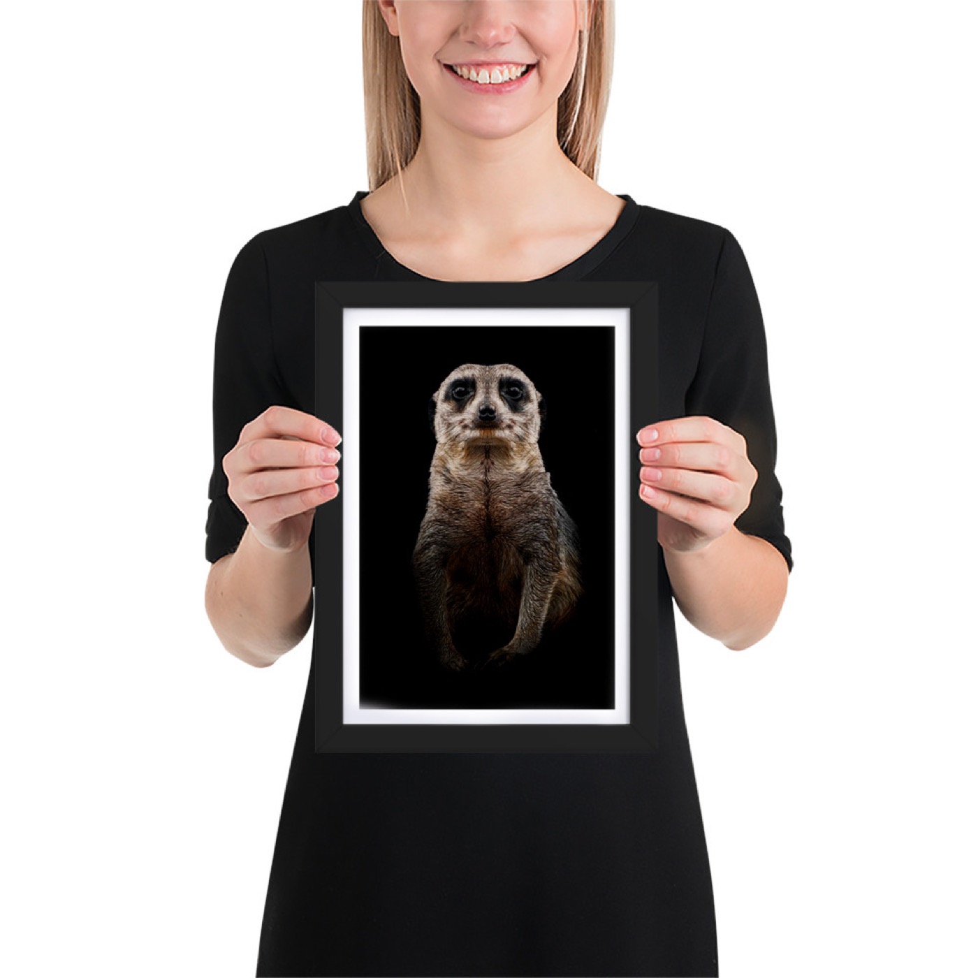 Fine-art portrait of meerkat (Suricata suricatta) on a black background