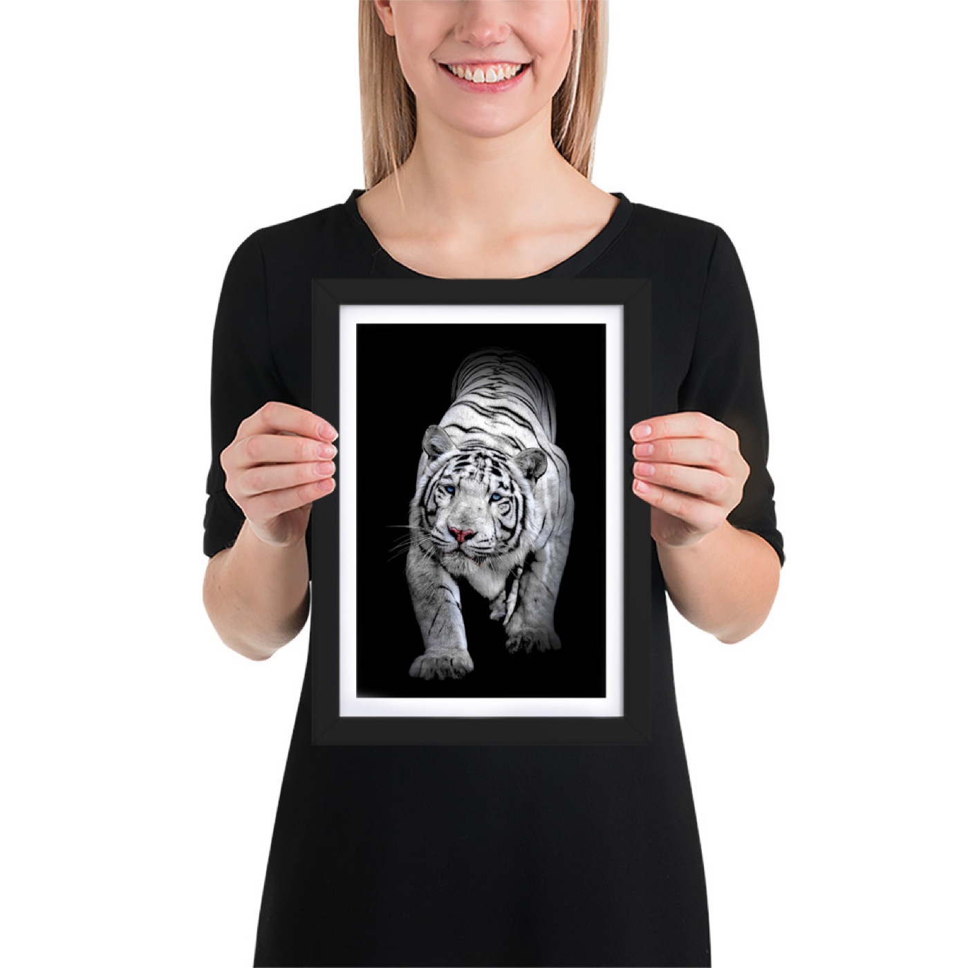 Fine-art portrait of white bengal tiger (Panthera tigris tigris) on a black background