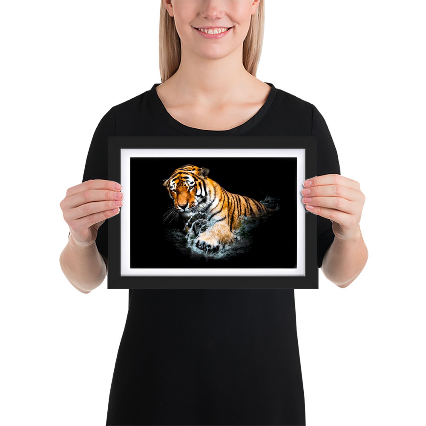 Fine-art portrait of siberian tiger (Panthera tigris altaica) on a black background