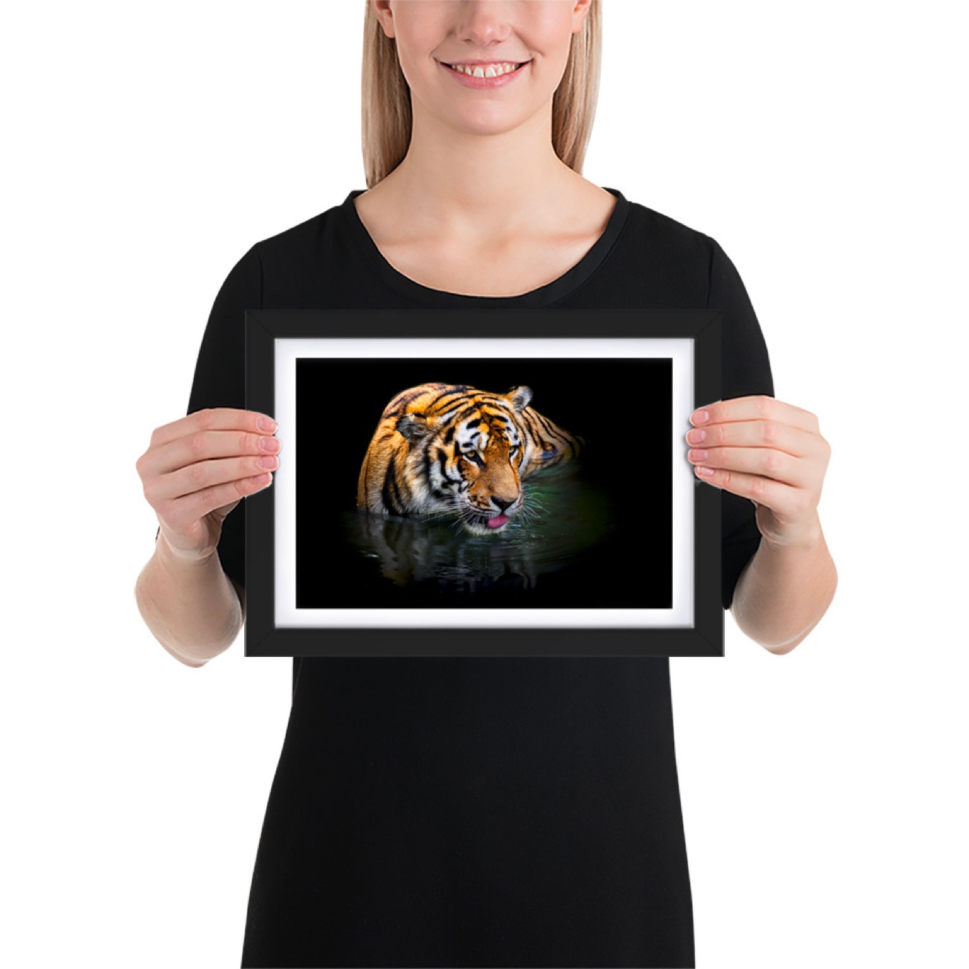 Fine-art portrait of siberian tiger (Panthera tigris altaica) on a black background