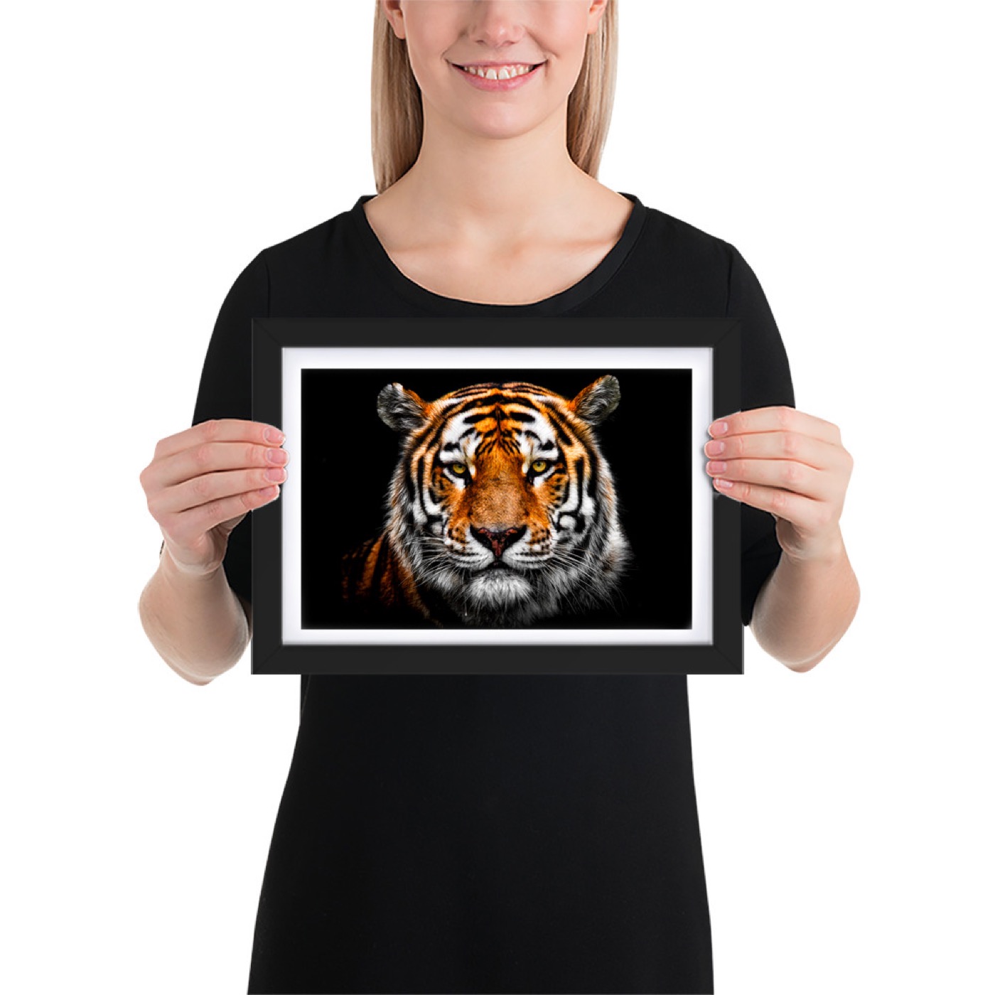 Fine-art portrait of siberian tiger (Panthera tigris altaica) on a black background