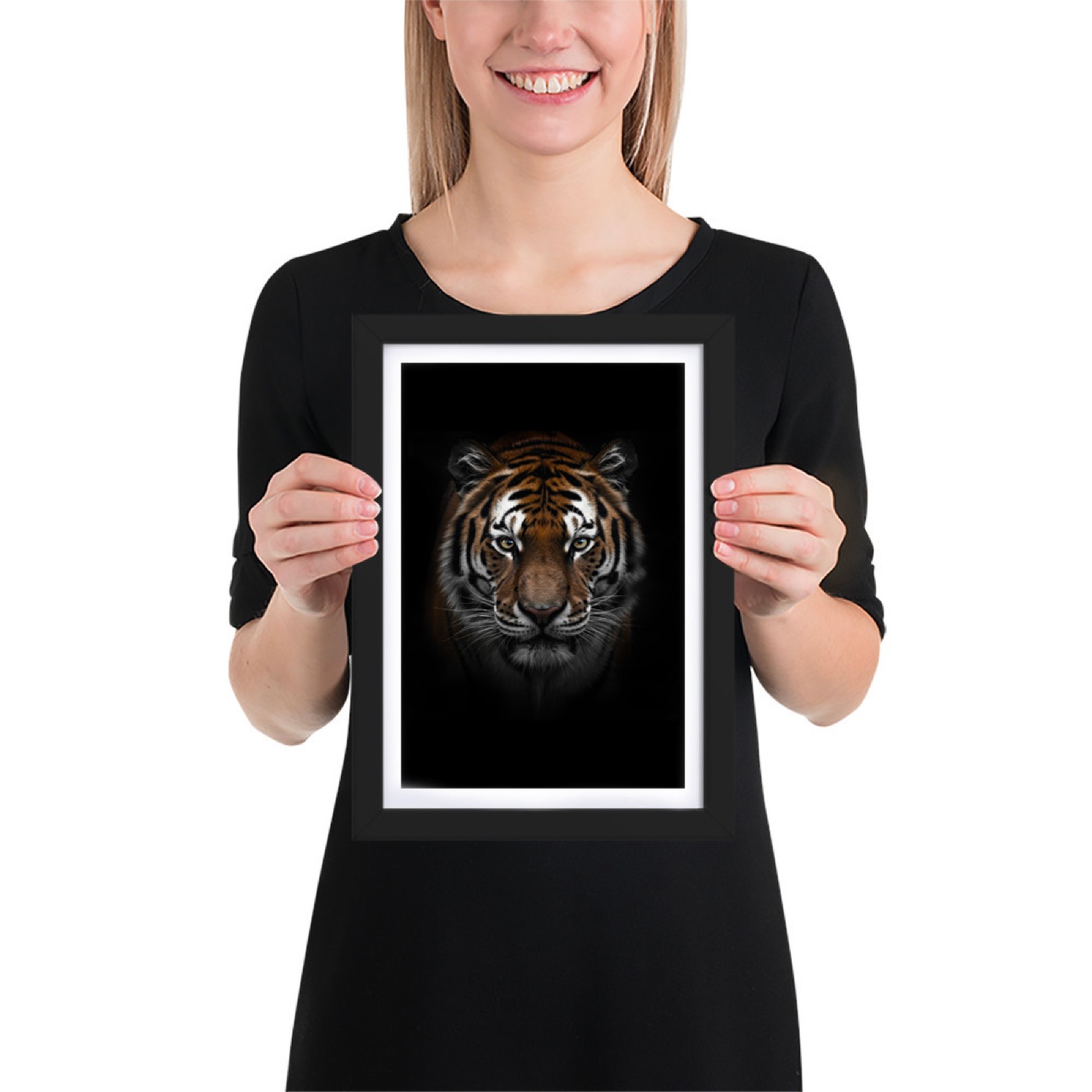 Fine-art portrait of siberian tiger (Panthera tigris altaica) on a black background