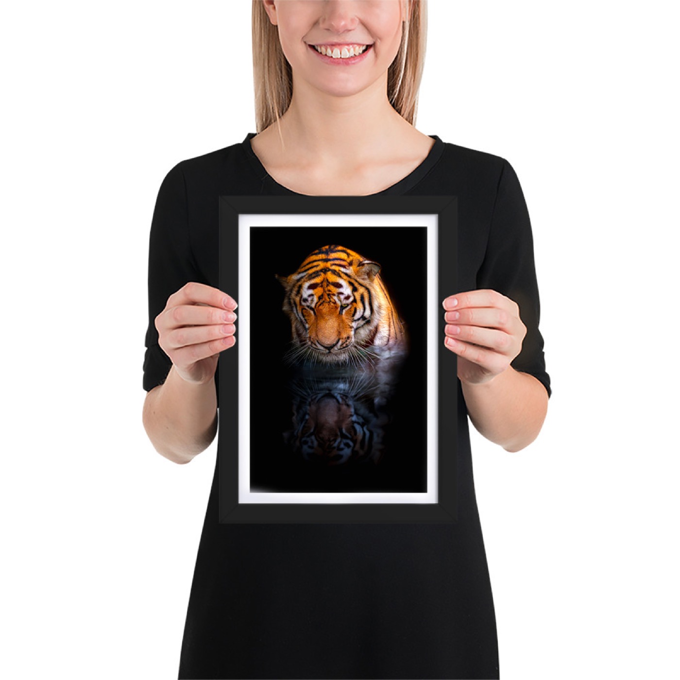 Fine-art portrait of siberian tiger (Panthera tigris altaica) on a black background