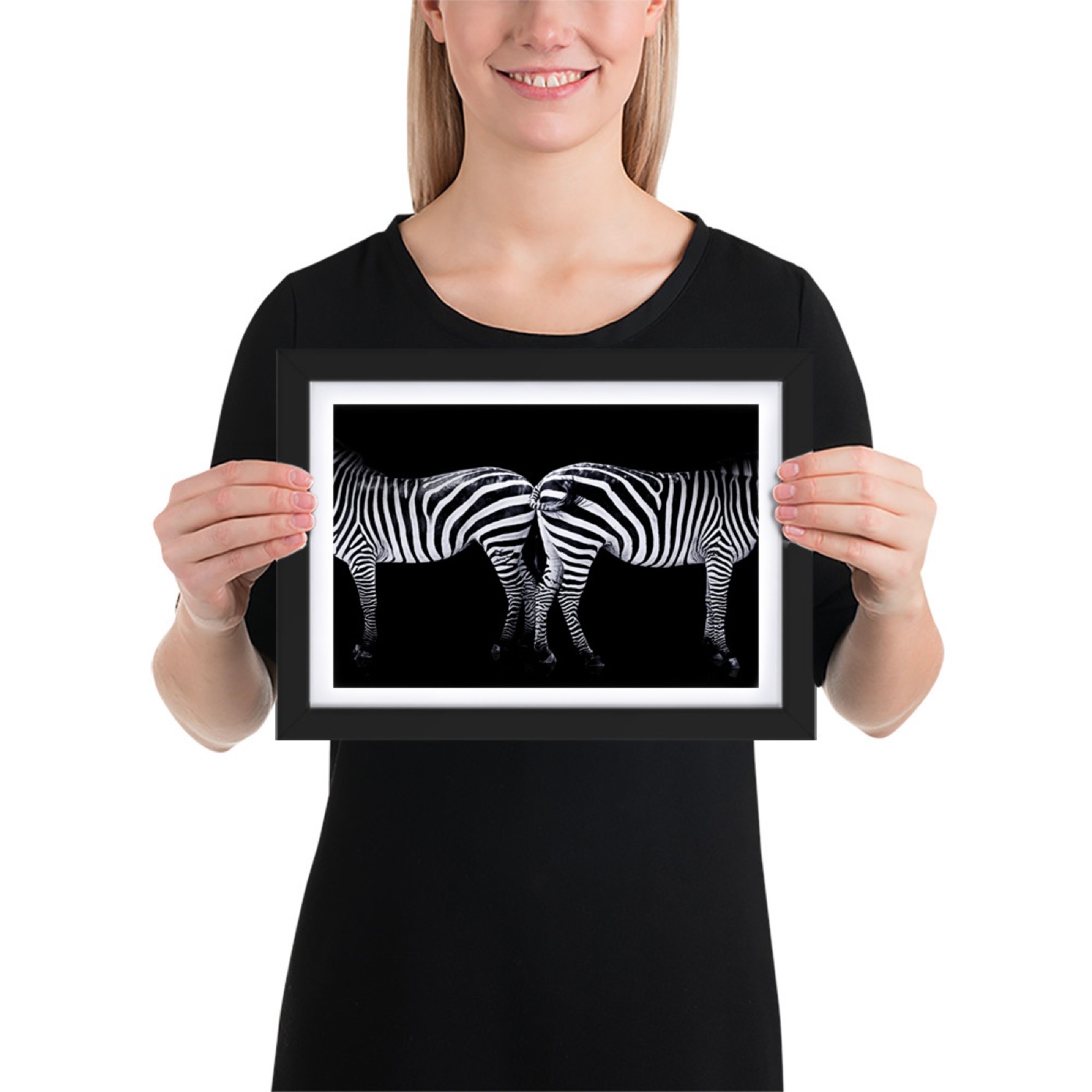 Fine-art portrait of plains zebras (Equus quagga) on a black background